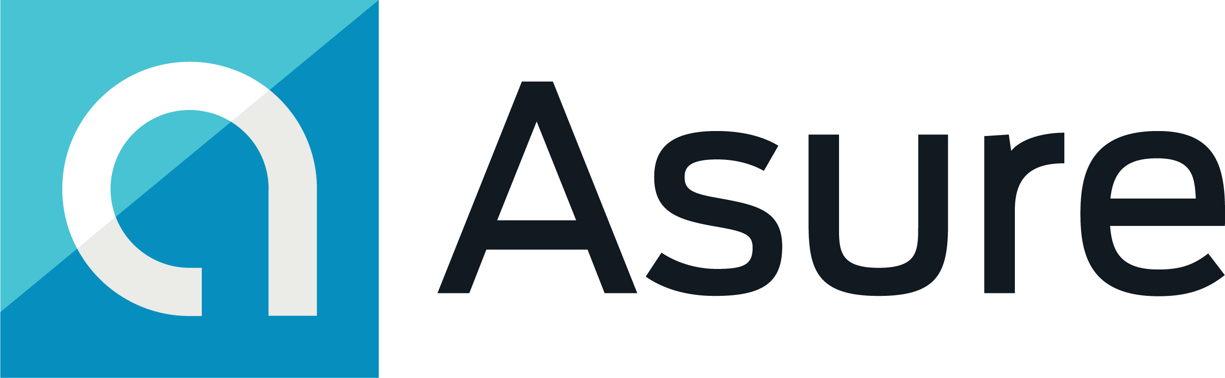 AsureLogoBlack (002)